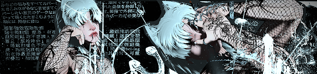 Banner Background