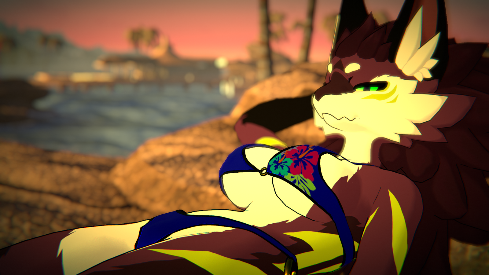 Swimsuit Collection