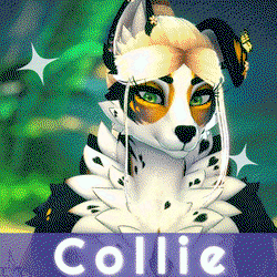 Collie - Roxy Retexture