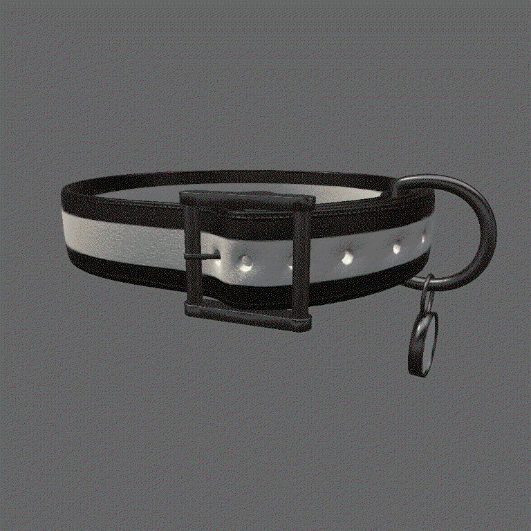 Customizable Collar