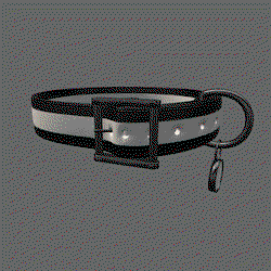 Customizable Collar