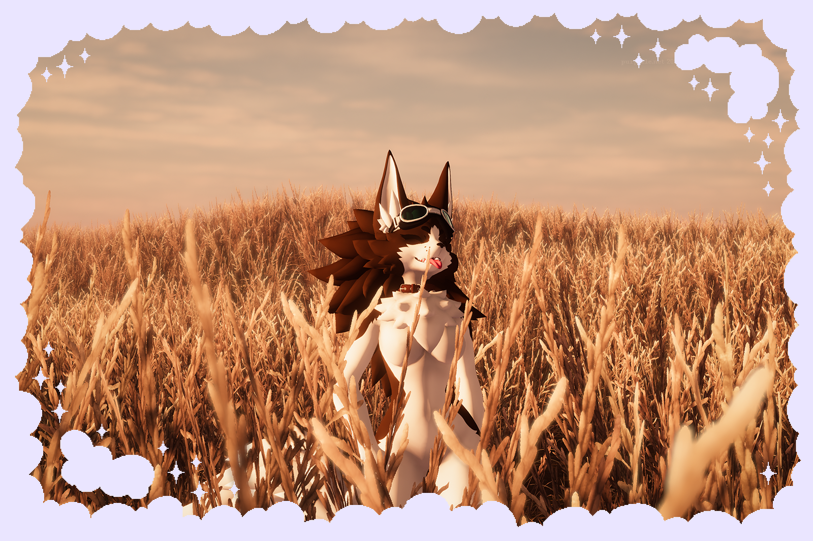 ☆ novacollie ☆ novabeast textures ☆