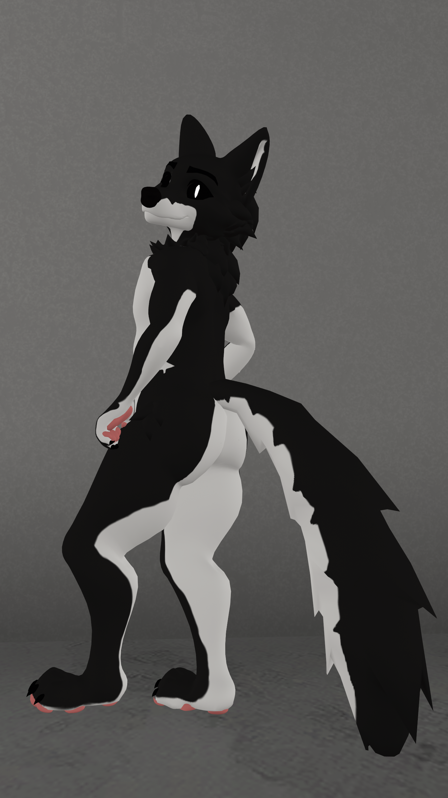 | LUPOTAKIN (Avatar Base) (VRChat PC&Quest)