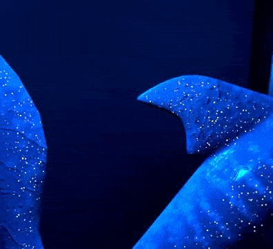 | StarShark (Avatar Base) (VRChat PC)