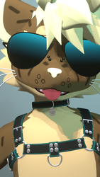 Mayu Collar and Chest Harness