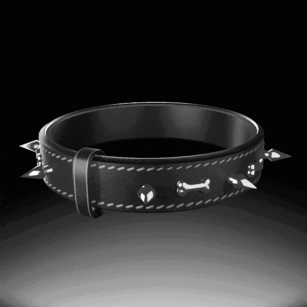 Spiked Leather Collar