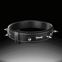 Oii Collar