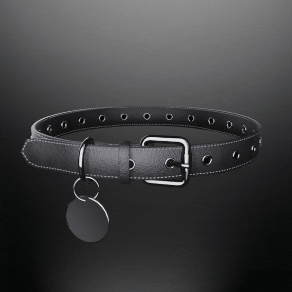 Classic Pet Collar