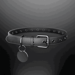 Classic Pet Collar