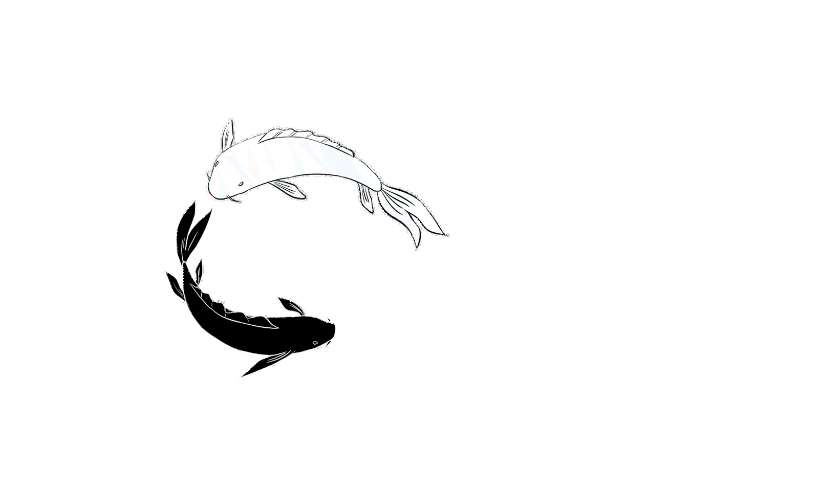 Banner Background