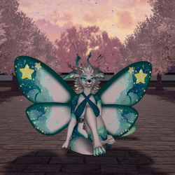 Starry Sky Moth Texture -Fox Moth