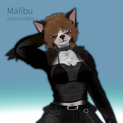 A.Sheperd Malibu