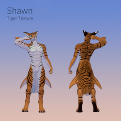 Tiger Texture for Shawn the Shark