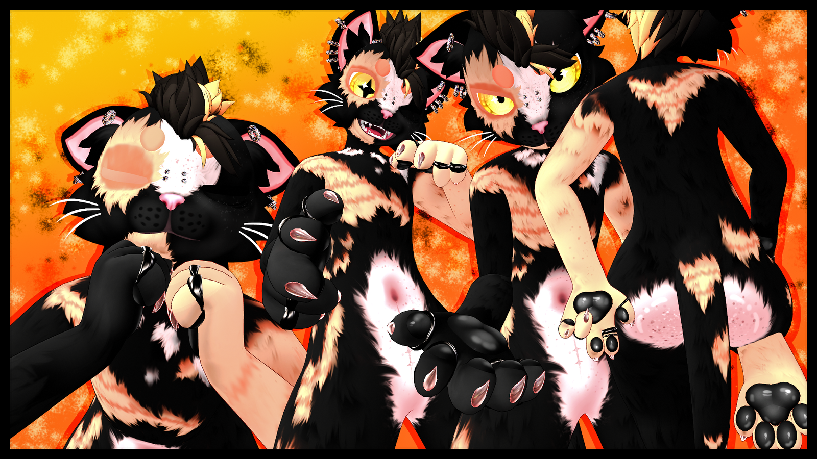 Tortie the Tortoiseshell Cat - Mayu