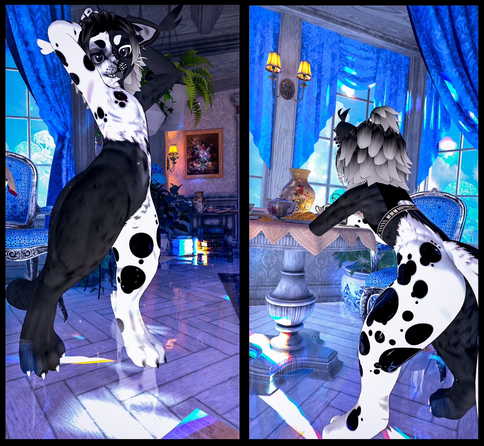 Oreo the Goth Cat - Mayu