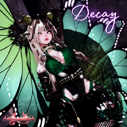 𓇢𓆸 DECAY | PC ONLY | FT | MEDIUM OPTI | SPS | GO LOCO ༄｡°