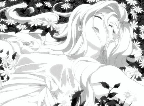 Banner Background