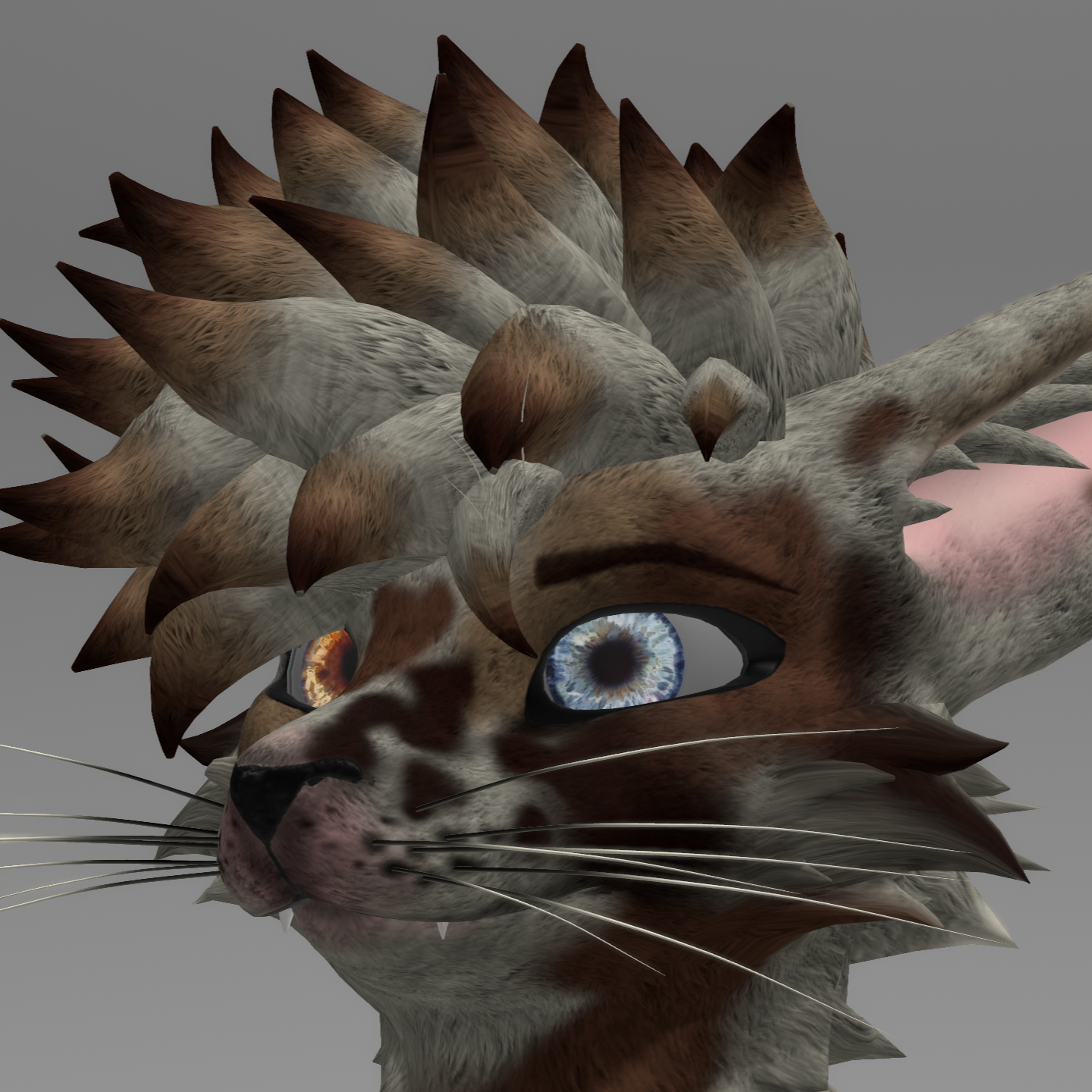 Splotch Rexouium Texture