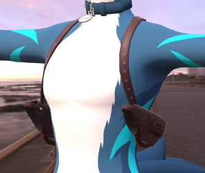 Gun Holsters
