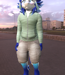 WinterBold Hoodie and Cargo Shorts